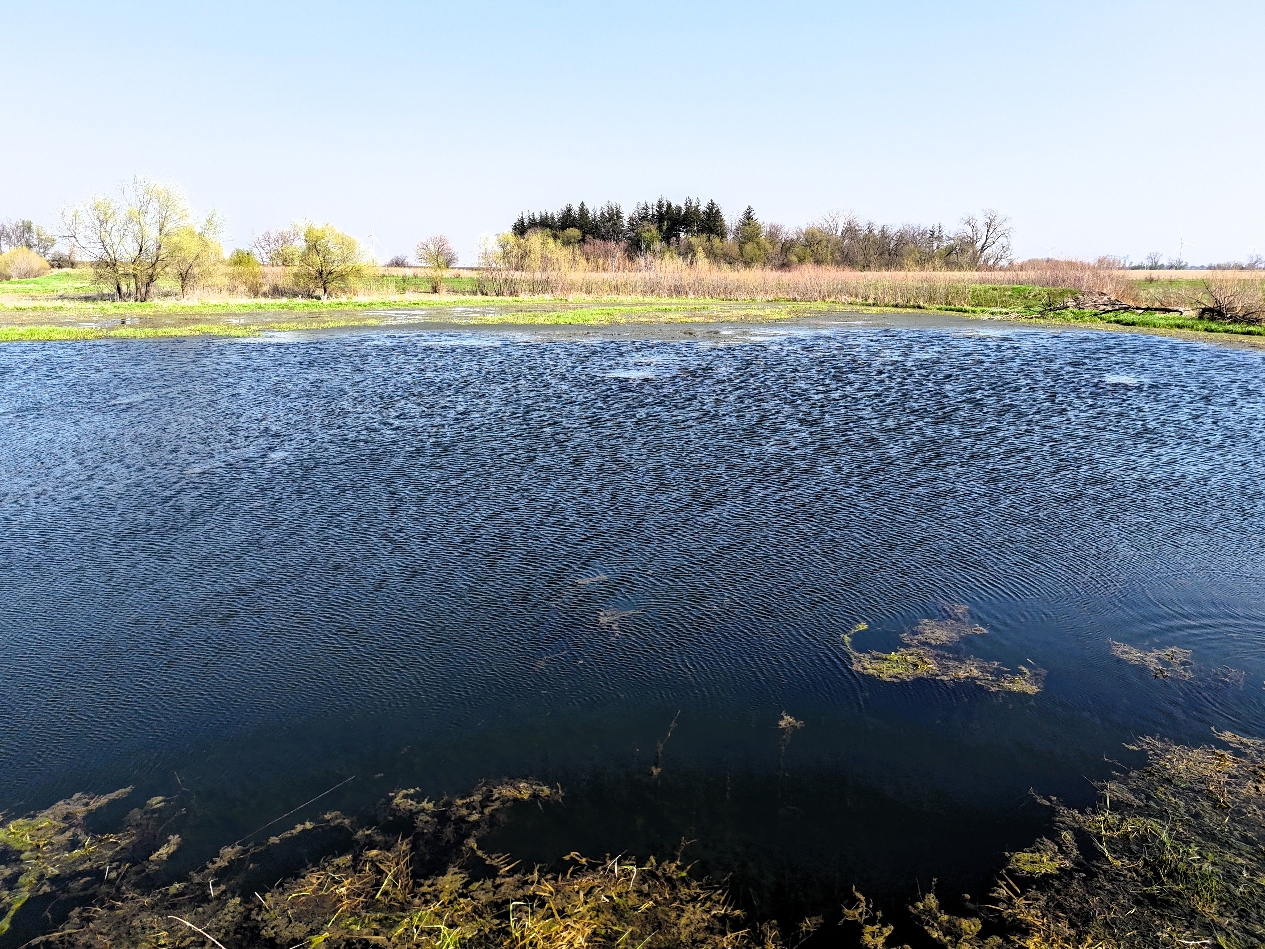 Listing Photo: Pond 5